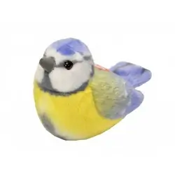 Blåmeis (med lyd)