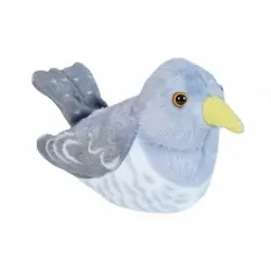 Gjøk (med lyd)