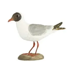 Hettemåke (tre)