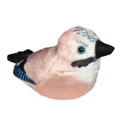 Nøtteskrike (med lyd)
