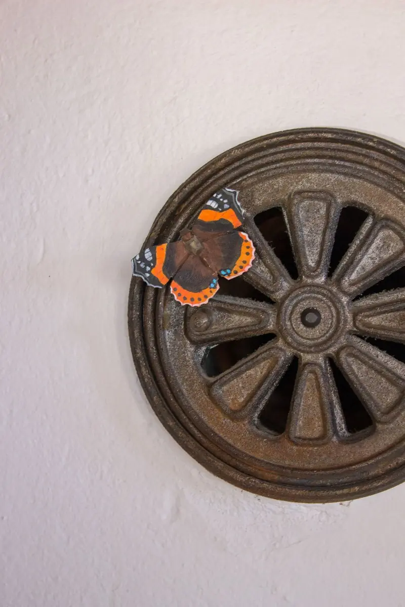 Magnet (admiral)