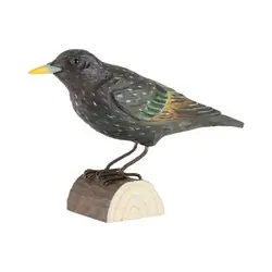 Stær (tre)