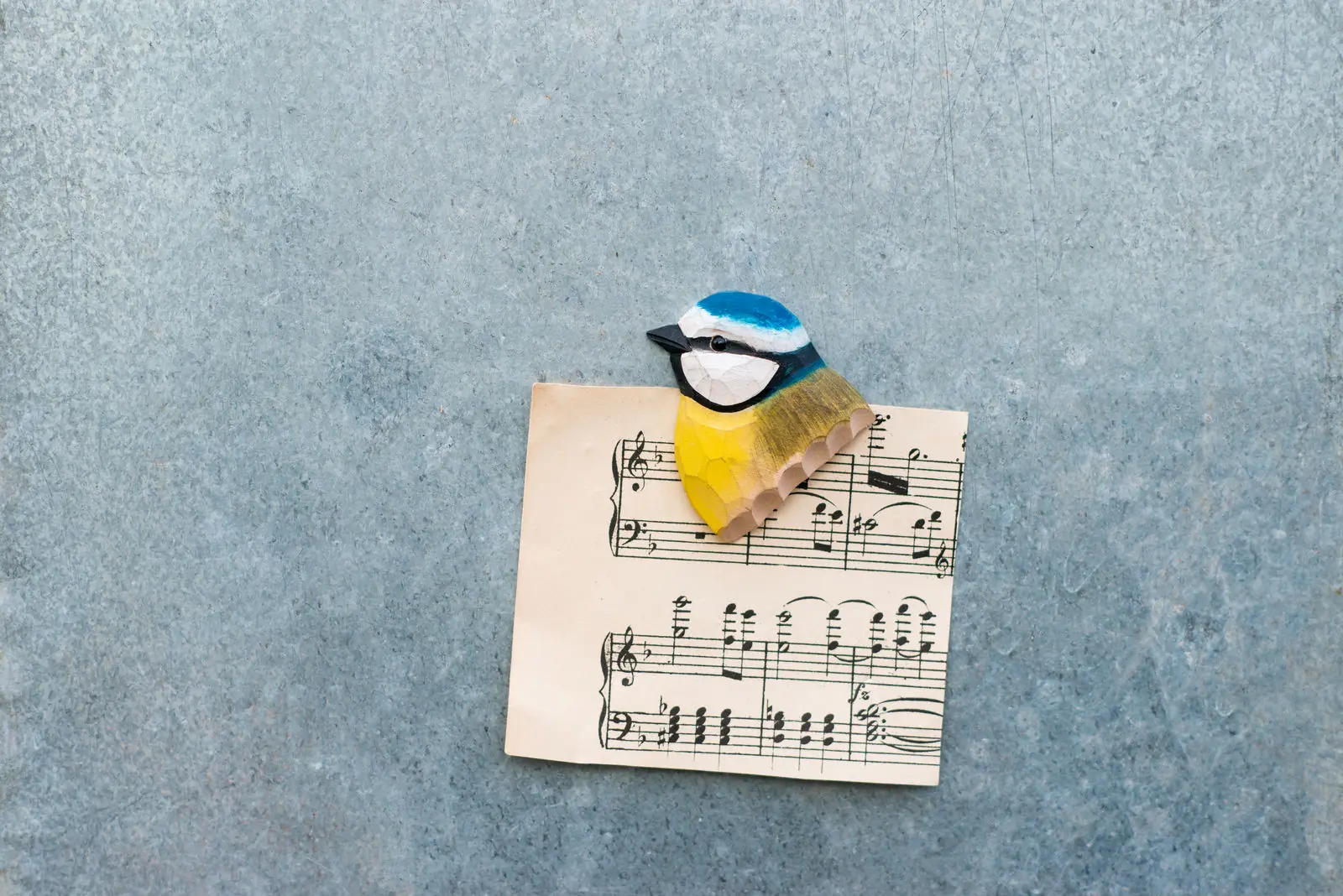 Magnet (blåmeis)