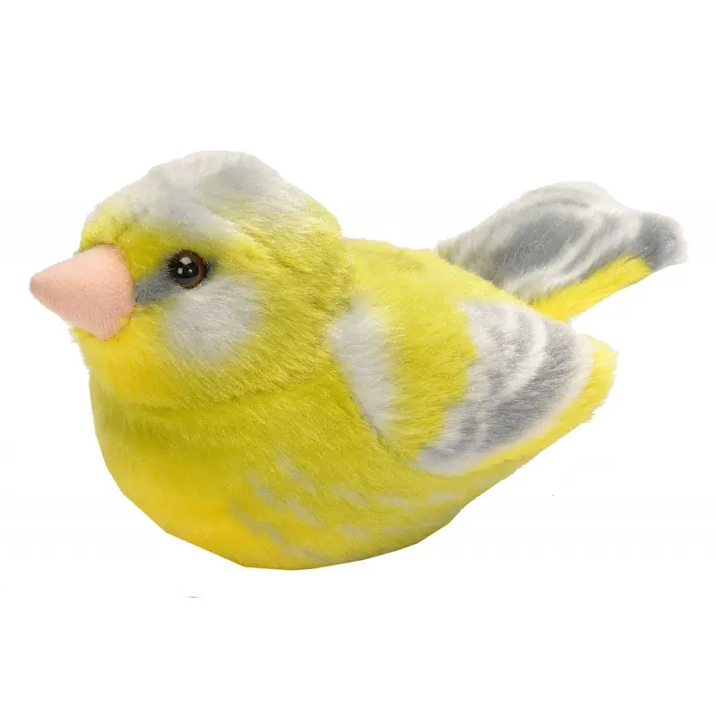 Grønnfink (med lyd)